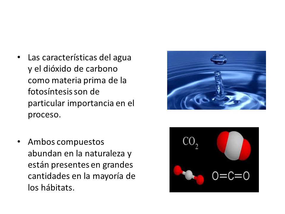Las características del agua y el dióxido de carbono como materia prima de la fotosíntesis son de particular importancia en el proceso.