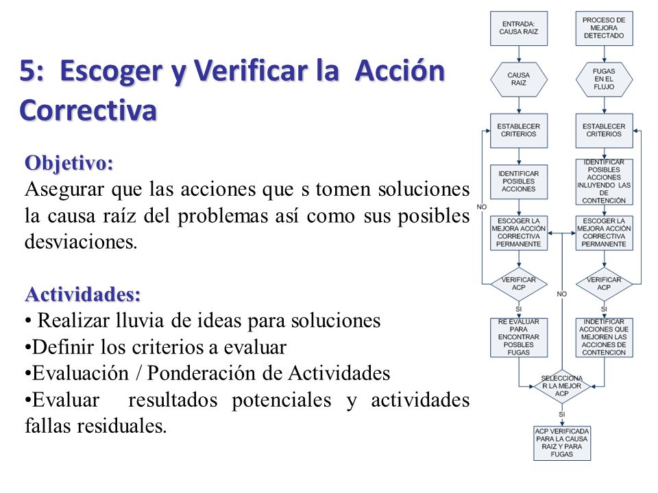 5: Escoger y Verificar la Acción Correctiva
