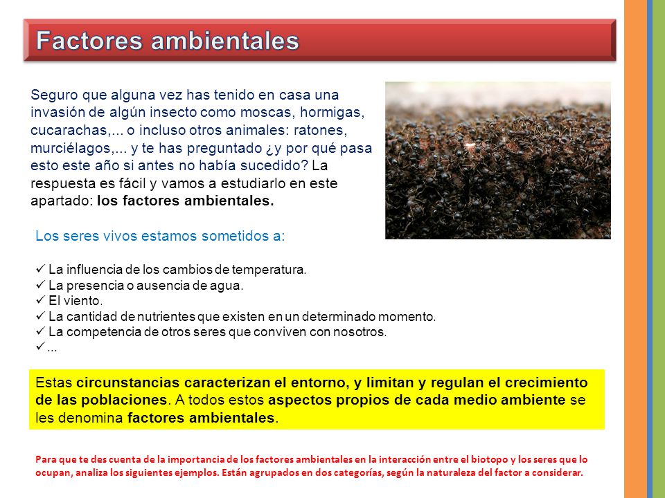 Factores ambientales
