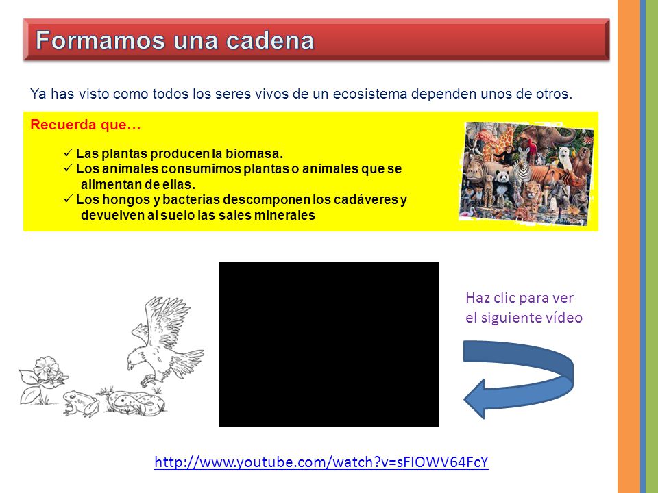 Formamos una cadena Haz clic para ver el siguiente vídeo