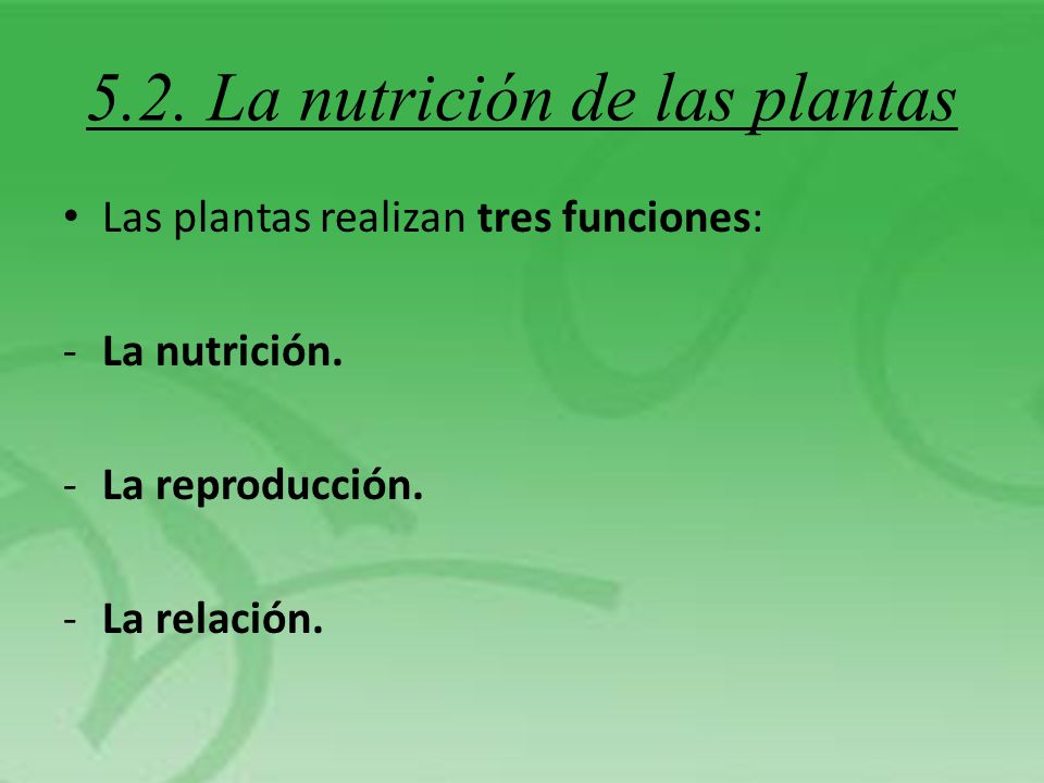 5.2. La nutrición de las plantas