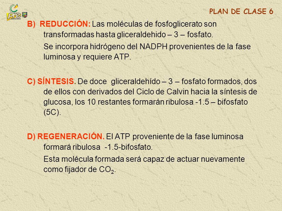 PLAN DE CLASE 6 B) REDUCCIÓN: Las moléculas de fosfoglicerato son transformadas hasta gliceraldehido – 3 – fosfato.