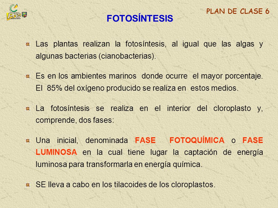 FOTOSÍNTESIS PLAN DE CLASE 6. Las plantas realizan la fotosíntesis, al igual que las algas y algunas bacterias (cianobacterias).