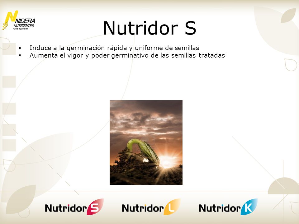 Nutridor S Induce a la germinación rápida y uniforme de semillas