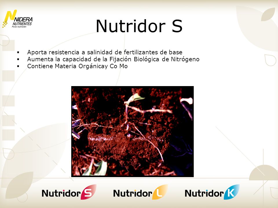 Nutridor S Aporta resistencia a salinidad de fertilizantes de base