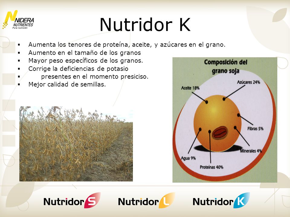 Nutridor K Aumenta los tenores de proteína, aceite, y azúcares en el grano. Aumento en el tamaño de los granos.