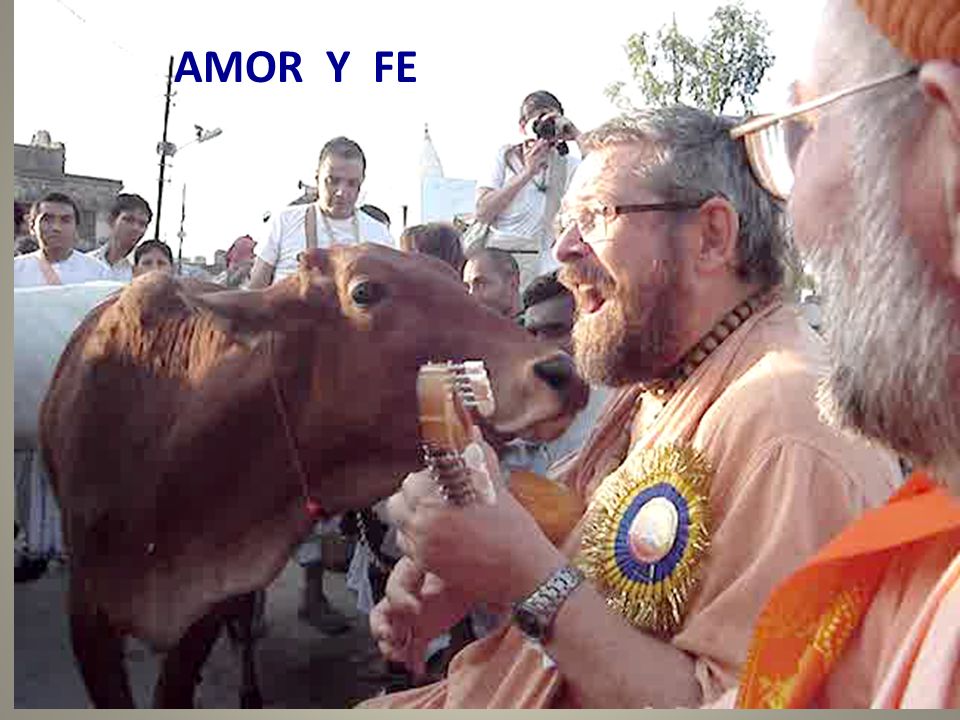 AMOR Y FE