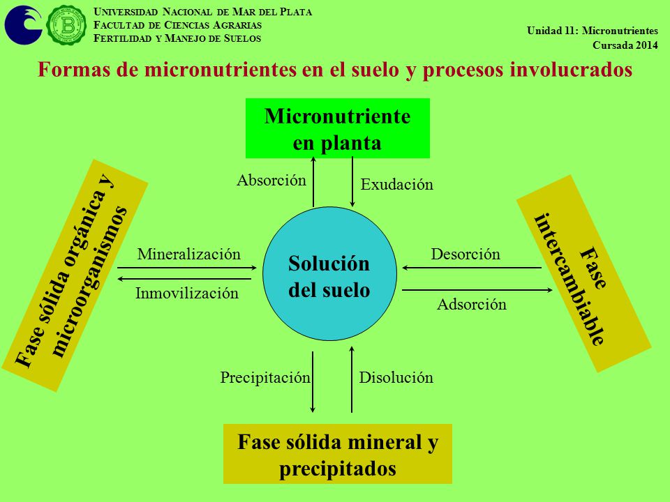 Formas de micronutrientes en el suelo y procesos involucrados