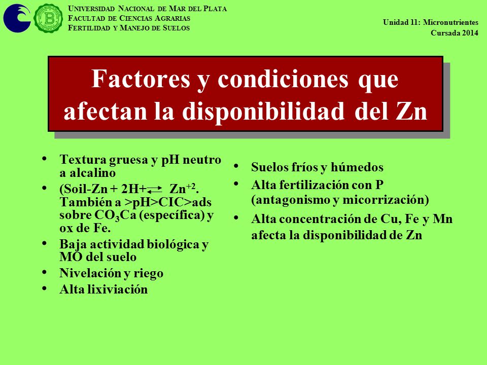 Factores y condiciones que afectan la disponibilidad del Zn