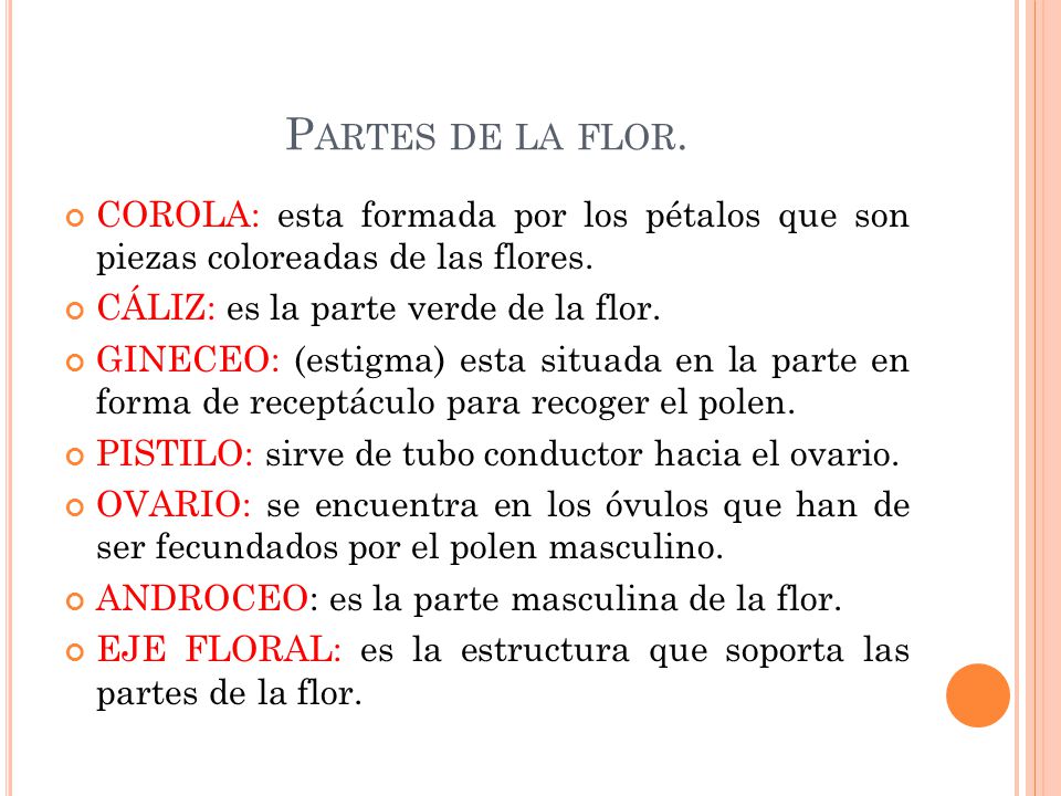 Partes de la flor. COROLA: esta formada por los pétalos que son piezas coloreadas de las flores. CÁLIZ: es la parte verde de la flor.