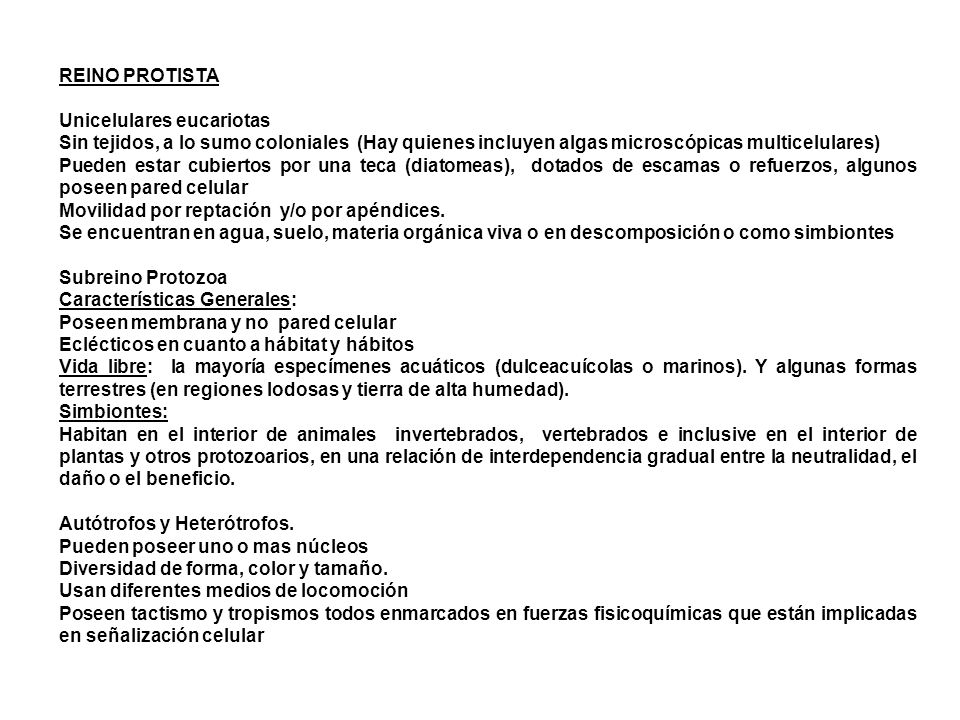 REINO PROTISTA Unicelulares eucariotas. Sin tejidos, a lo sumo coloniales (Hay quienes incluyen algas microscópicas multicelulares)