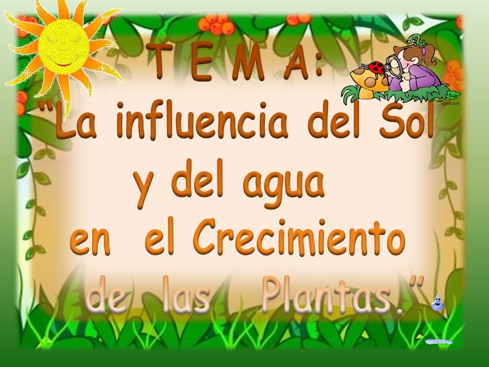 T E M A: La influencia del Sol y del agua en el Crecimiento de las Plantas.