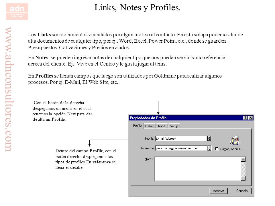 Links, Notes y Profiles.