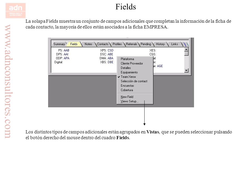 Fields La solapa Fields muestra un conjunto de campos adicionales que completan la información de la ficha de.