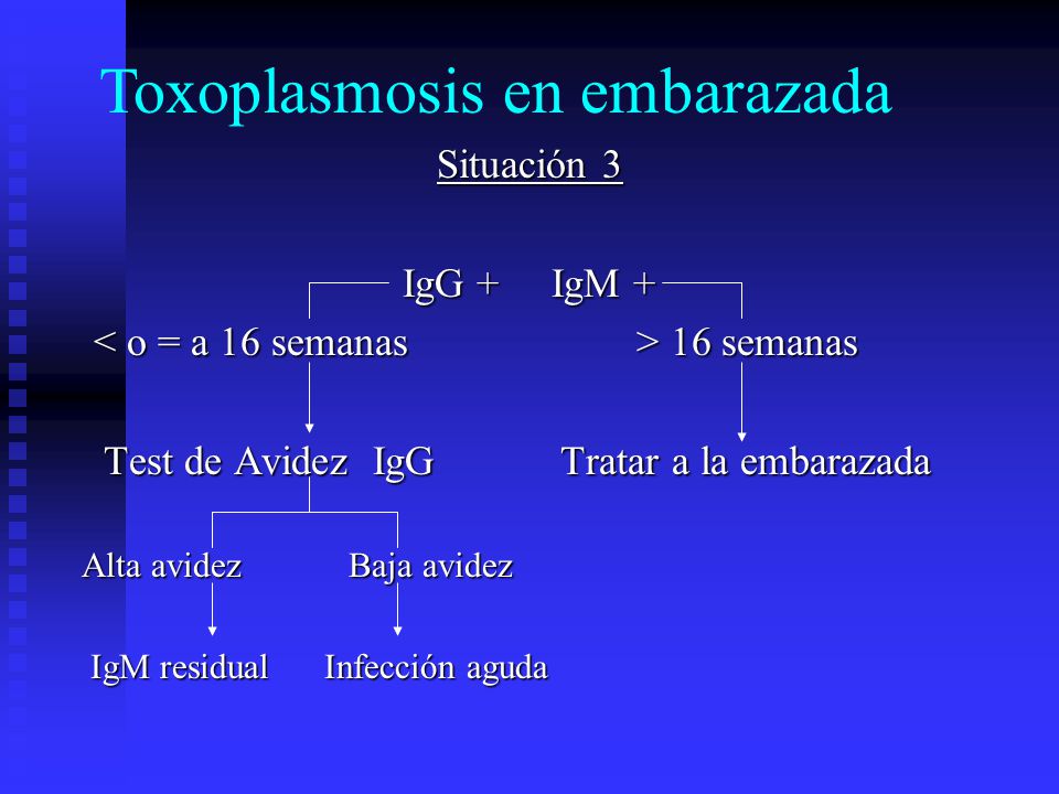 Toxoplasmosis. - ppt descargar