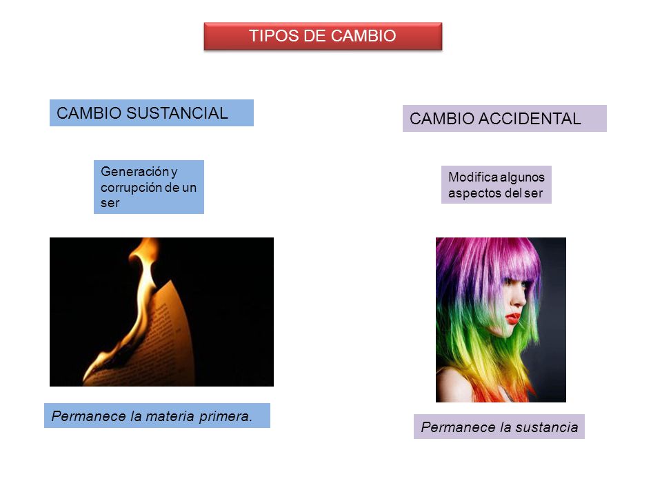 TIPOS DE CAMBIO CAMBIO SUSTANCIAL CAMBIO ACCIDENTAL