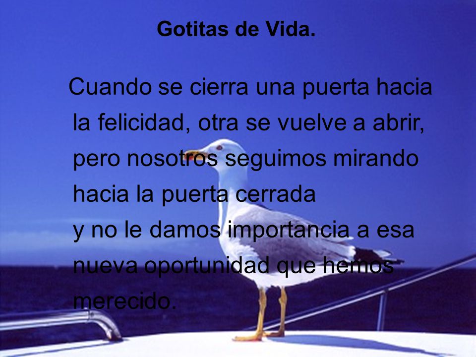la felicidad, otra se vuelve a abrir, pero nosotros seguimos mirando