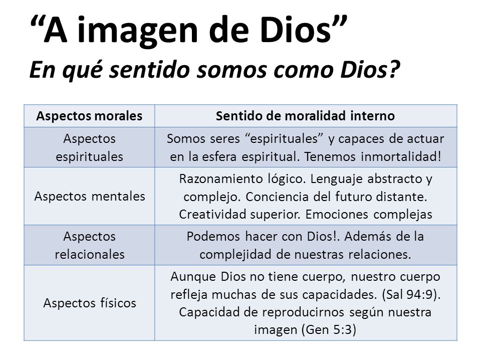 A imagen de Dios En qué sentido somos como Dios