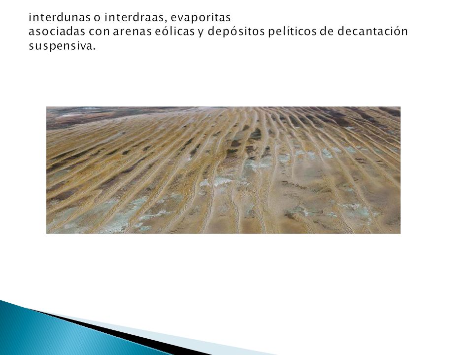 interdunas o interdraas, evaporitas asociadas con arenas eólicas y depósitos pelíticos de decantación suspensiva.
