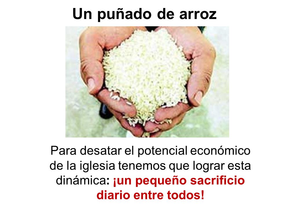 Un puñado de arroz Para desatar el potencial económico de la iglesia tenemos que lograr esta dinámica: ¡un pequeño sacrificio diario entre todos!