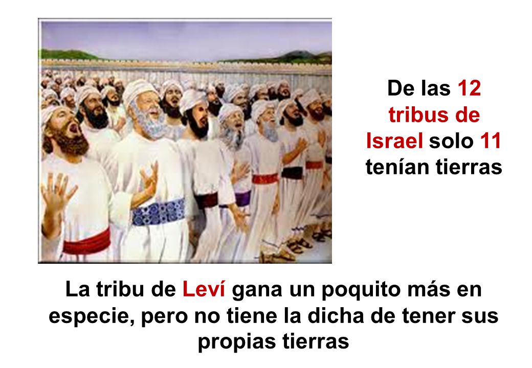 De las 12 tribus de Israel solo 11 tenían tierras