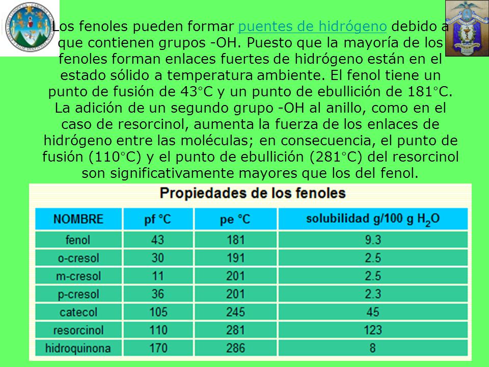 Los fenoles pueden formar puentes de hidrógeno debido a que contienen grupos -OH.