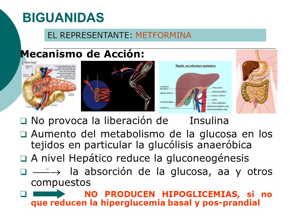 BIGUANIDAS Mecanismo de Acción: No provoca la liberación de Insulina