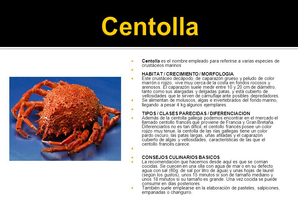 Centolla Centolla es el nombre empleado para referirse a varias especies de crustáceos marinos. HABITAT / CRECIMIENTO / MORFOLOGIA.