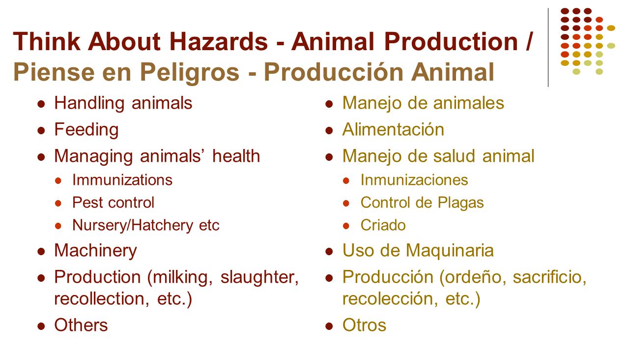 Think About Hazards - Animal Production / Piense en Peligros - Producción Animal