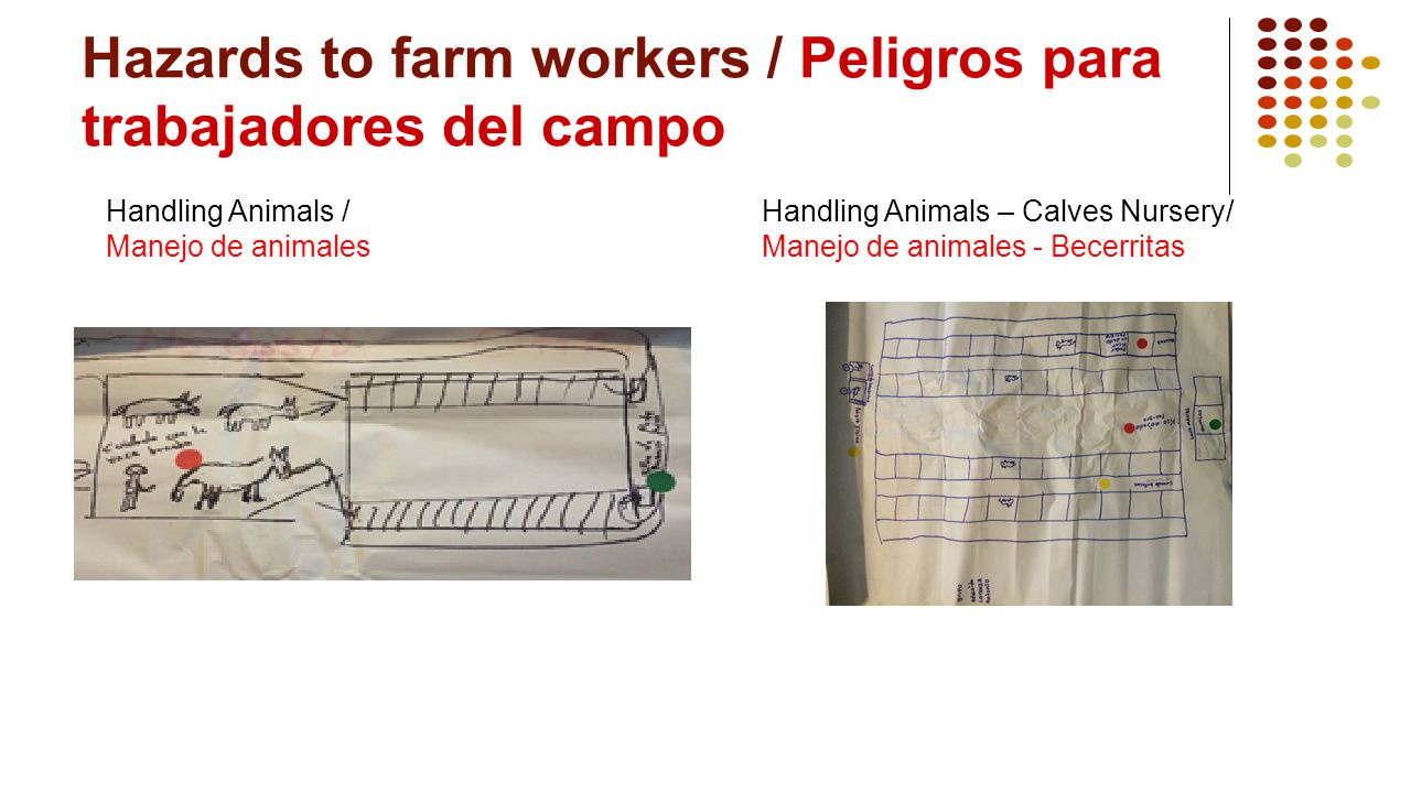 Hazards to farm workers / Peligros para trabajadores del campo