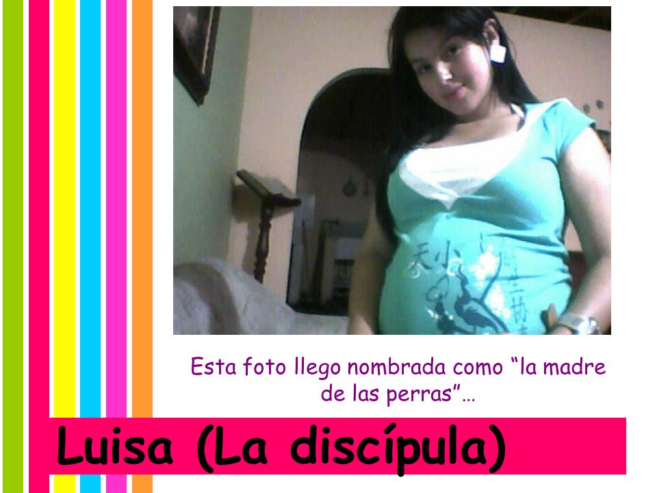Esta foto llego nombrada como la madre de las perras …