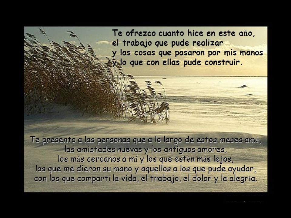 Te ofrezco cuanto hice en este año, el trabajo que pude realizar y las cosas que pasaron por mis manos y lo que con ellas pude construir.