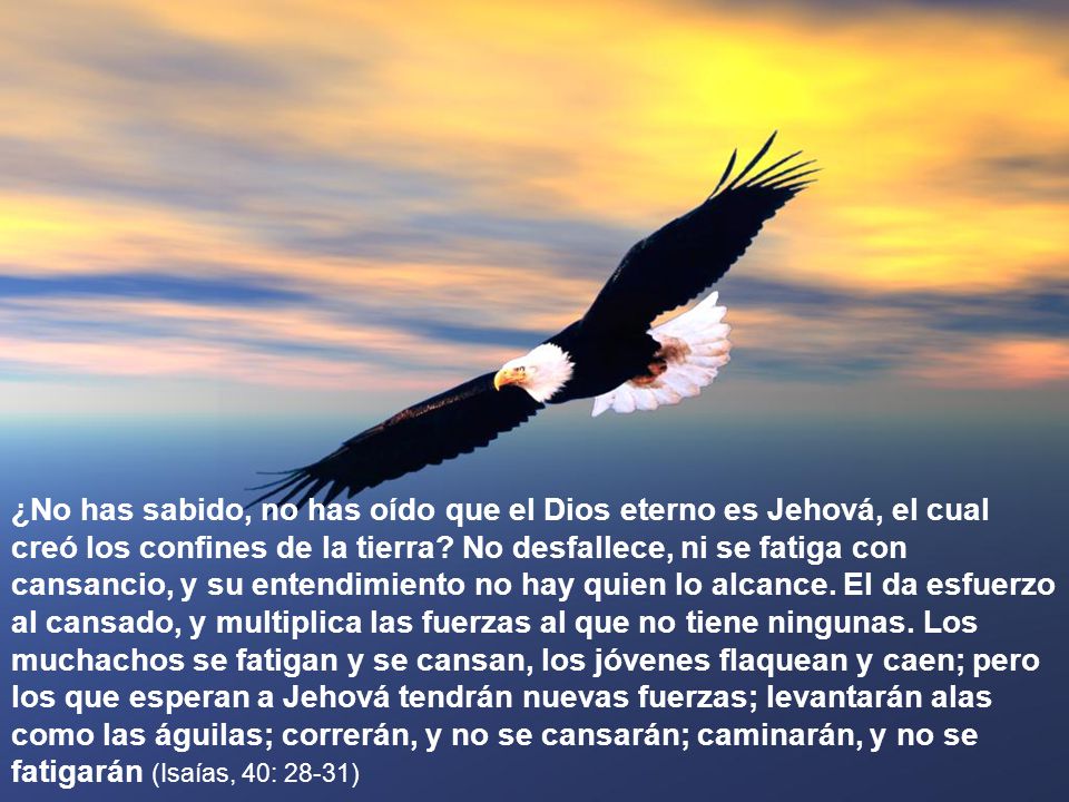 ¿No has sabido, no has oído que el Dios eterno es Jehová, el cual creó los confines de la tierra.