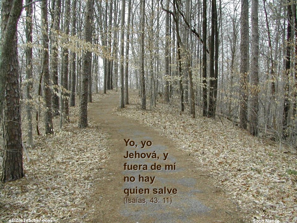 Yo, yo Jehová, y fuera de mí no hay quien salve (Isaías, 43: 11)
