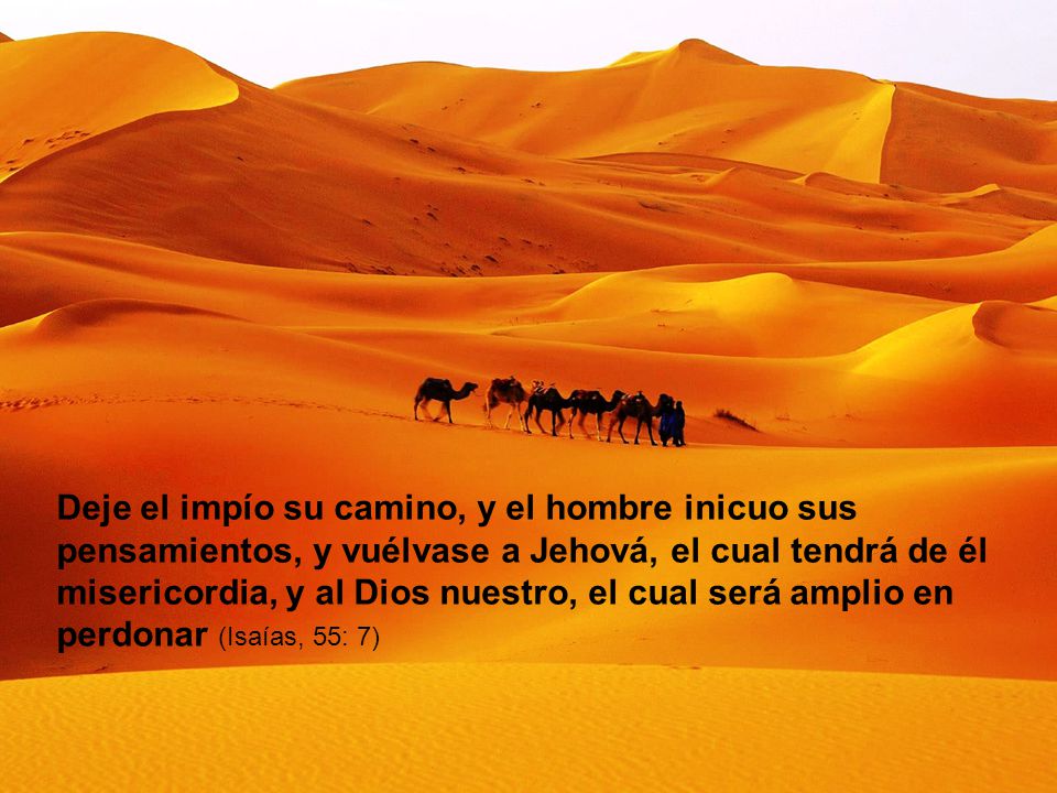 Deje el impío su camino, y el hombre inicuo sus pensamientos, y vuélvase a Jehová, el cual tendrá de él misericordia, y al Dios nuestro, el cual será amplio en perdonar (Isaías, 55: 7)