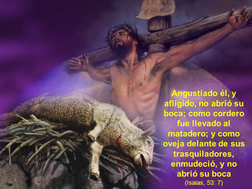 Angustiado él, y afligido, no abrió su boca; como cordero fue llevado al matadero; y como oveja delante de sus trasquiladores, enmudeció, y no abrió su boca (Isaias, 53: 7)