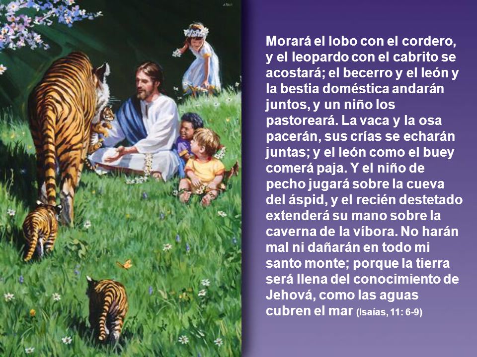 Morará el lobo con el cordero, y el leopardo con el cabrito se acostará; el becerro y el león y la bestia doméstica andarán juntos, y un niño los pastoreará. La vaca y la osa pacerán, sus crías se echarán juntas; y el león como el buey comerá paja. Y el niño de pecho jugará sobre la cueva del áspid, y el recién destetado extenderá su mano sobre la caverna de la víbora. No harán mal ni dañarán en todo mi santo monte; porque la tierra será llena del conocimiento de Jehová, como las aguas cubren el mar (Isaías, 11: 6-9)