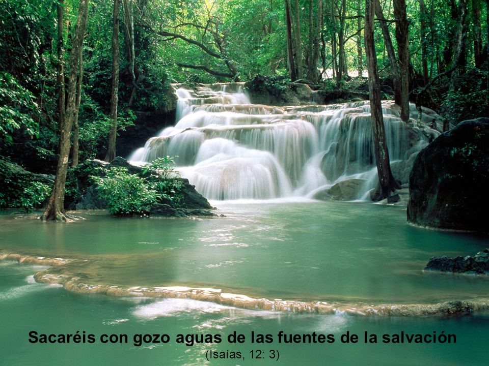 Sacaréis con gozo aguas de las fuentes de la salvación (Isaías, 12: 3)