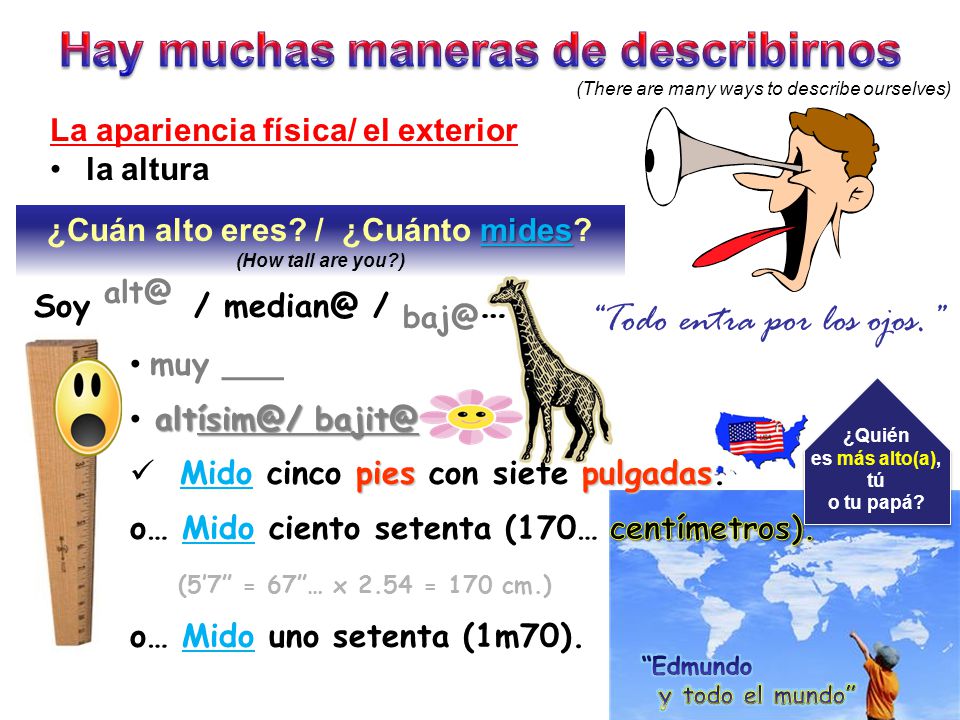 Hay muchas maneras de describirnos ¿Cuán alto eres / ¿Cuánto mides