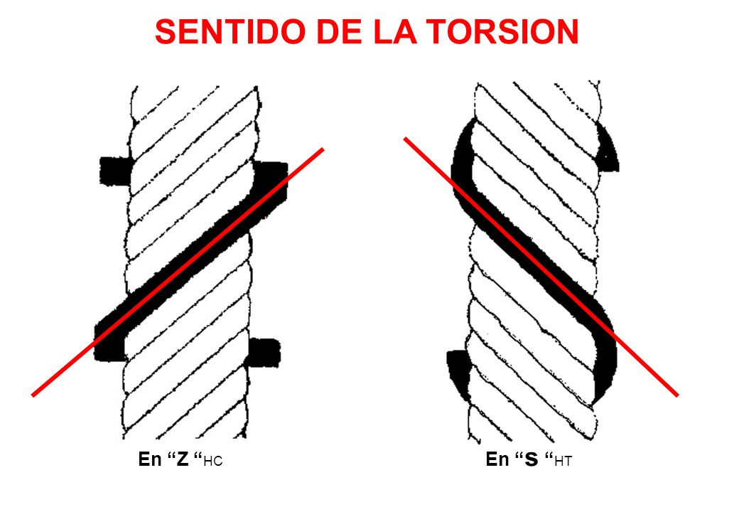 SENTIDO DE LA TORSION En s HT En Z HC