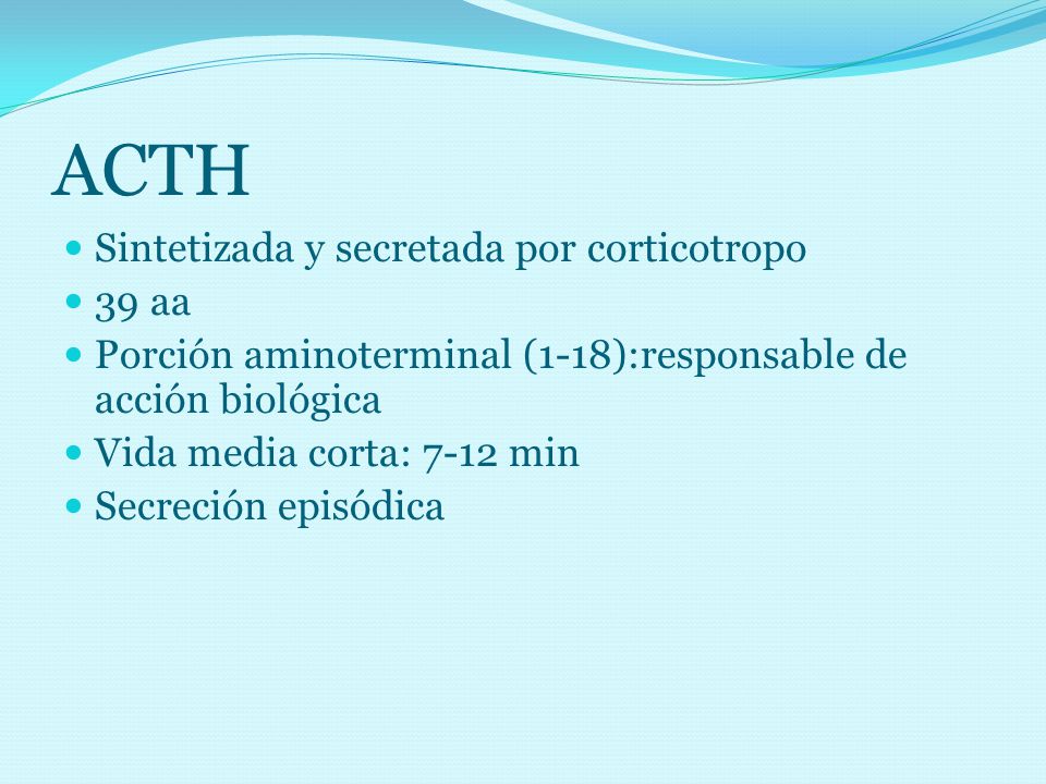 ACTH Sintetizada y secretada por corticotropo 39 aa