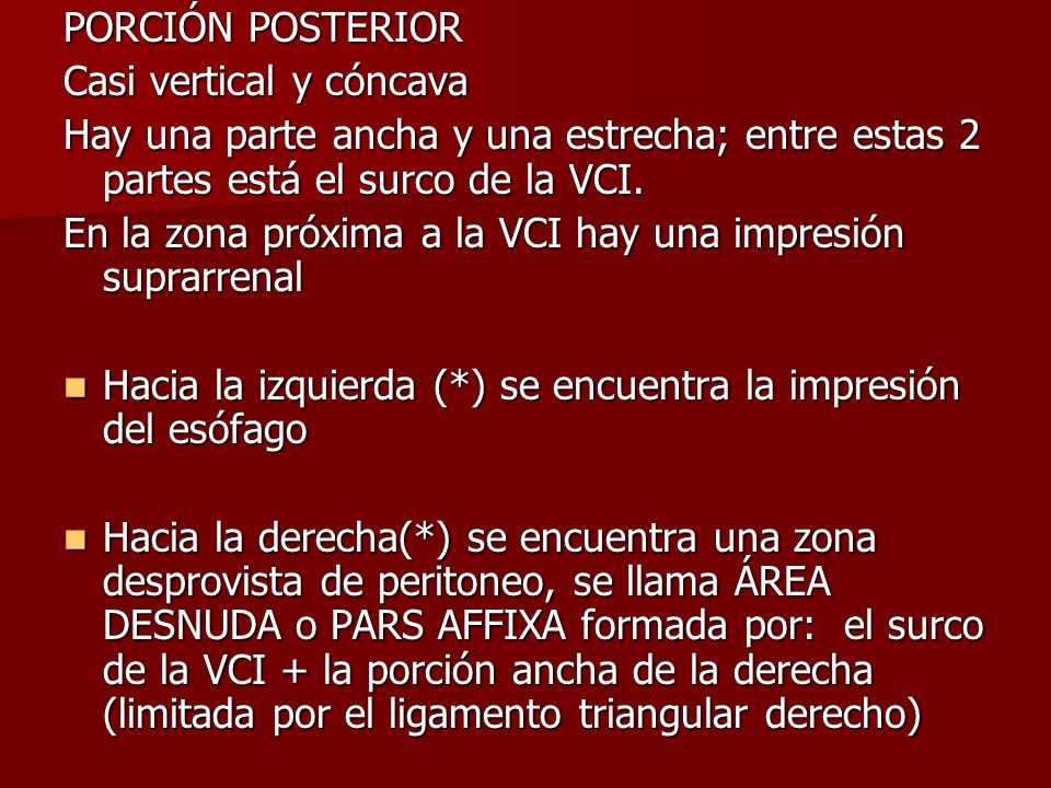 PORCIÓN POSTERIOR Casi vertical y cóncava. Hay una parte ancha y una estrecha; entre estas 2 partes está el surco de la VCI.