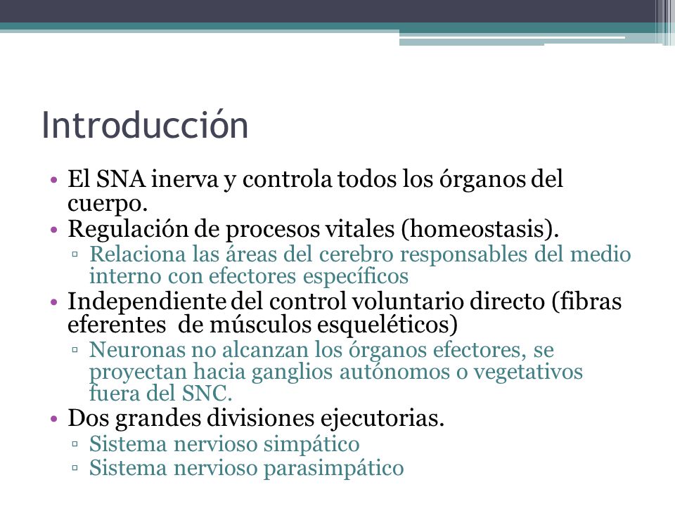 Introducción El SNA inerva y controla todos los órganos del cuerpo.
