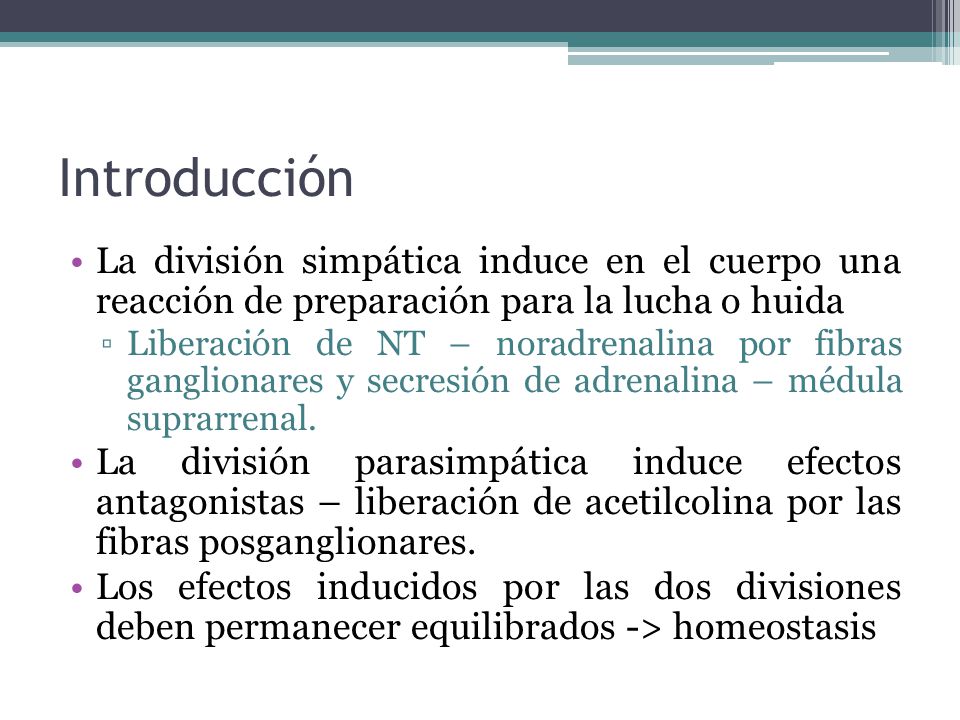 Introducción La división simpática induce en el cuerpo una reacción de preparación para la lucha o huida.