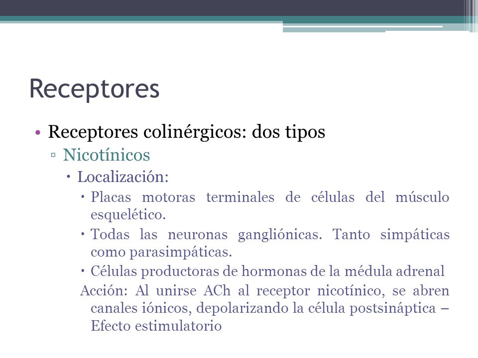 Receptores Receptores colinérgicos: dos tipos Nicotínicos
