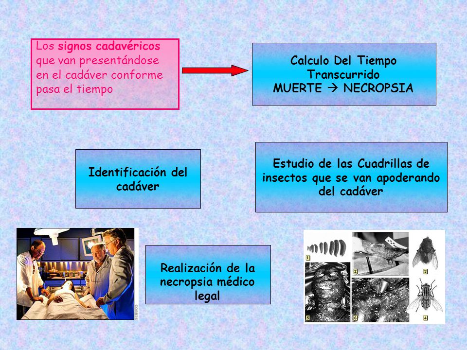 Los signos cadavéricos que van presentándose en el cadáver conforme