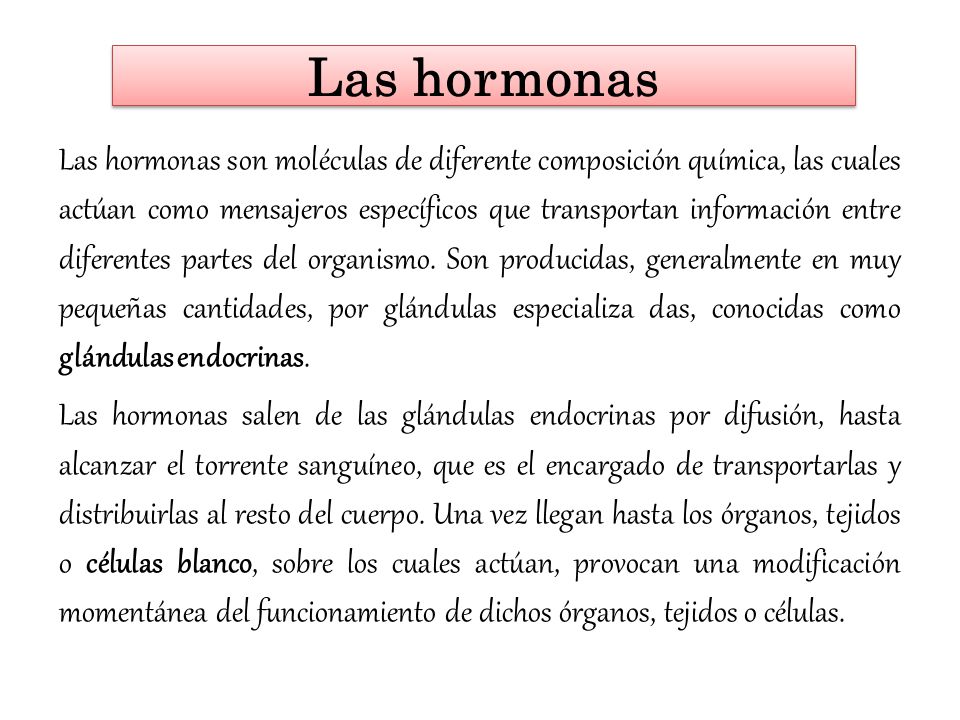 Las hormonas