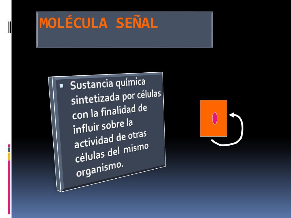 MOLÉCULA SEÑAL Sustancia química sintetizada por células con la finalidad de influir sobre la actividad de otras células del mismo organismo.