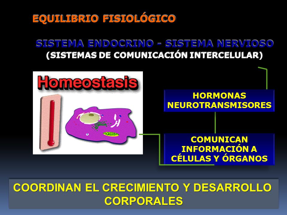INFORMACIÓN A CÉLULAS Y ÓRGANOS COORDINAN EL CRECIMIENTO Y DESARROLLO