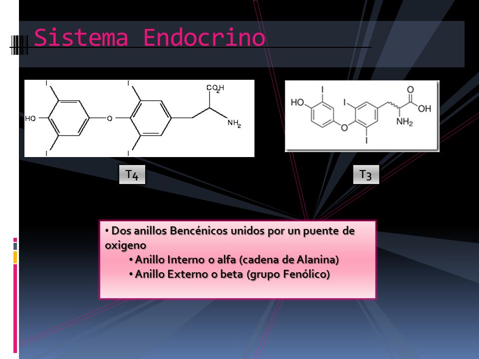 Sistema Endocrino T4. T3. Dos anillos Bencénicos unidos por un puente de oxigeno. Anillo Interno o alfa (cadena de Alanina)